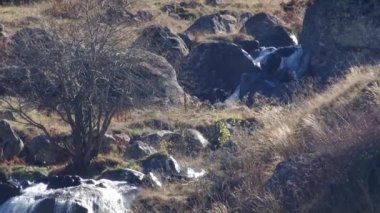 Doğa Kurtat Gorge Kuzey Osetya'da, Kafkasya, Rusya Federasyonu.