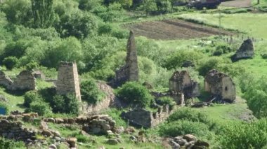 Doğa Kurtat Gorge Kuzey Osetya'da, Kafkasya, Rusya Federasyonu.