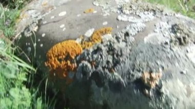 Doğa Kurtat Gorge Kuzey Osetya'da, Kafkasya, Rusya Federasyonu.