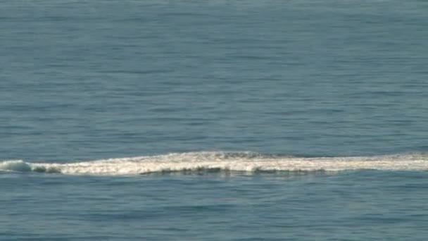 Tipos de Mar Negro perto da cidade de Sochi, Cáucaso, Rússia — Vídeo de Stock