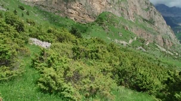 Kurtat Gorge na Ossétia do Norte-Alânia, Cáucaso, Rússia — Vídeo de Stock