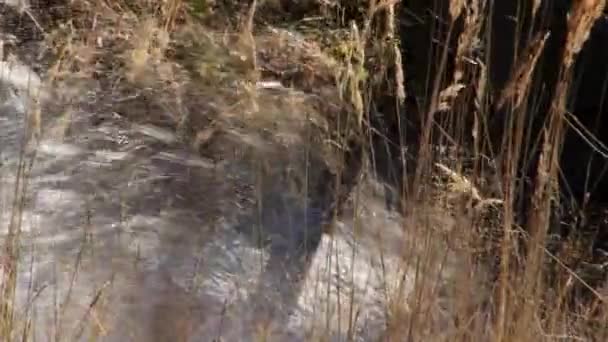 Natur Kurtat Schlucht in Nordossetien, Kaukasus, Russland. — Stockvideo