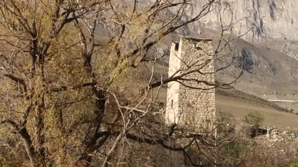 Natuur Kurtat Gorge in Noord-Ossetië, Kaukasus, Rusland. — Stockvideo