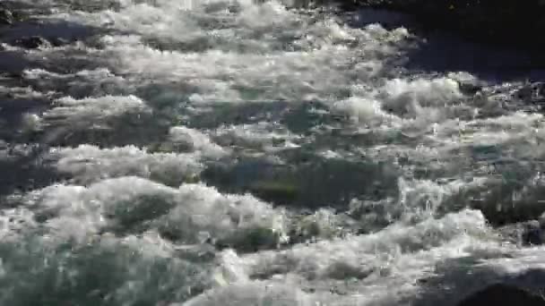 Natuur Kurtat Gorge in Noord-Ossetië, Kaukasus, Rusland. — Stockvideo