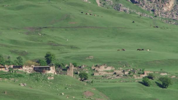 Natura Kurtat Gorge w północnej Osetii, Kaukaz, Federacja Rosyjska. — Wideo stockowe