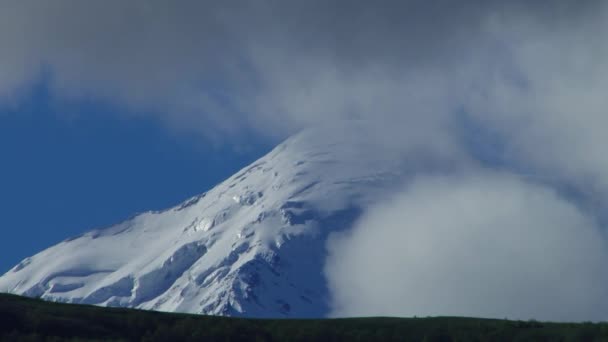 Cheile Natura Kurtat din Osetia de Nord, Caucaz, Rusia . — Videoclip de stoc