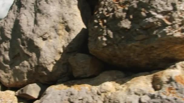 Doğa Kurtat Gorge Kuzey Osetya'da, Kafkasya, Rusya Federasyonu. — Stok video