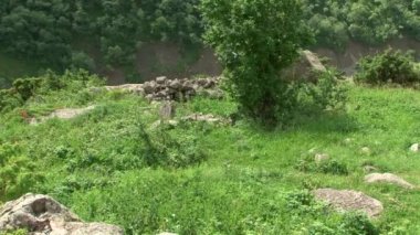 Doğa Kurtat Gorge Kuzey Osetya'da, Kafkasya, Rusya Federasyonu.