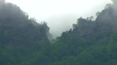 Doğa Kurtat Gorge Kuzey Osetya'da, Kafkasya, Rusya Federasyonu.