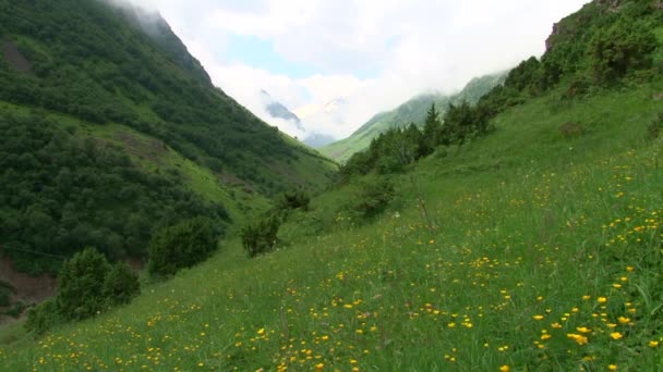 コーカサス、ロシア北オセチア共和国に自然 Kurtat 渓谷. — ストック動画