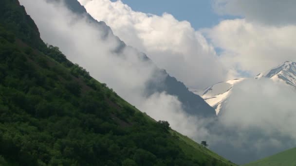 Φύση Kurtat φαράγγι στη Βόρεια Οσετία, Καύκασος, Ρωσία. — Αρχείο Βίντεο