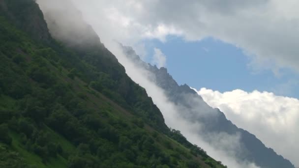 Natur Kurtat Gorge i Nordossetien, Kaukasus, Ryssland. — Stockvideo