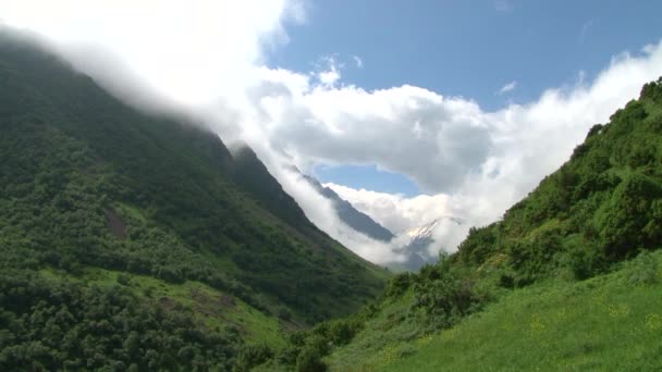 자연 Kurtat 협곡 북쪽 Ossetia, 코 카 서 스, 러시아. — 비디오