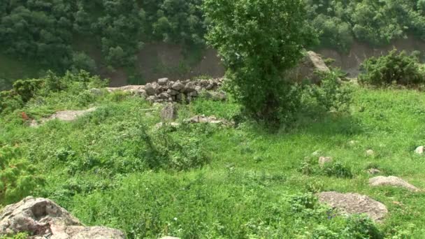 Jurang Kurtat Alam di Ossetia Utara, Kaukasus, Rusia . — Stok Video
