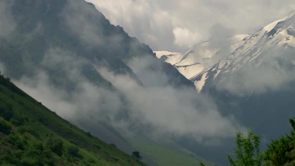 Natur Kurtat Gorge i Nordossetien, Kaukasus, Ryssland. — Stockvideo