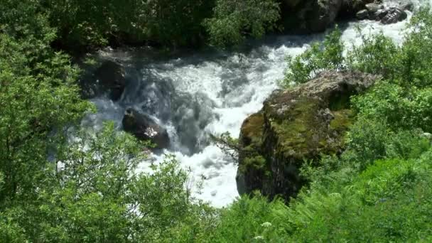 Natur Kurtat Gorge i Nordossetien, Kaukasus, Ryssland. — Stockvideo