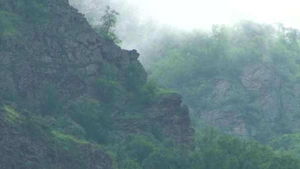 Natur Kurtat Schlucht in Nordossetien, Kaukasus, Russland. — Stockvideo