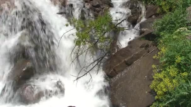 Natuur Kurtat Gorge in Noord-Ossetië, Kaukasus, Rusland. — Stockvideo