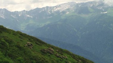 Sochi - Krasnaya Polyana - Rosa Khutor