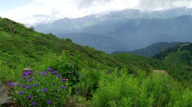 Sochi - Krasnaya Polyana - Rosa Khutor