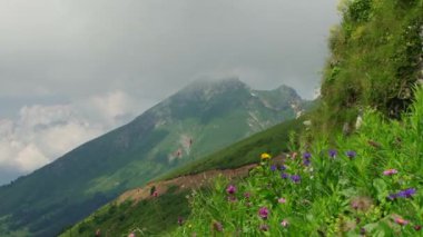 Sochi - Krasnaya Polyana - Rosa Khutor