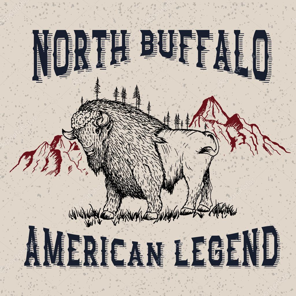 Vintage label with buffalo .Typography design for t-shirts