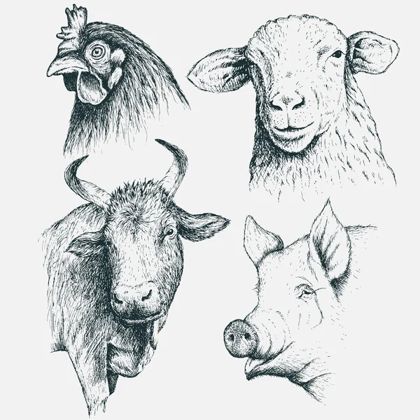 Set of farm animals — Stock Vector