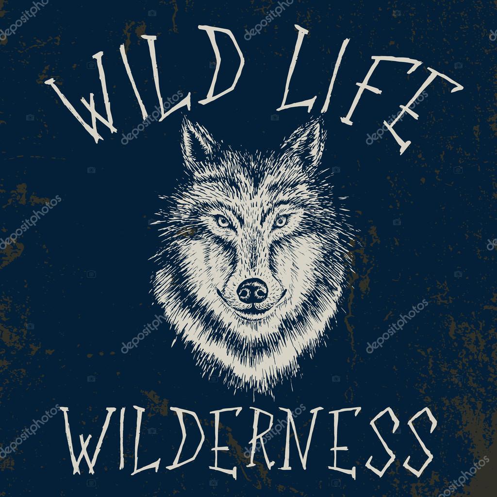 Vintage label with wolf .Typography design for t-shirts