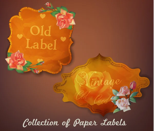 Sammlung von Etiketten aus Altpapier mit Blumen. — Stockvektor