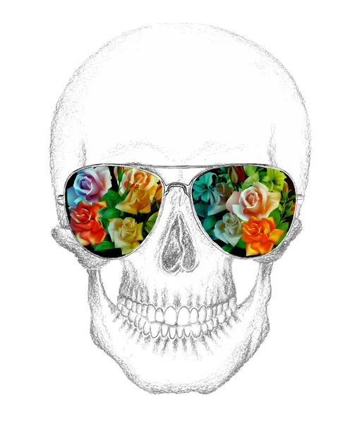 Cráneo de humano con anteojos — Vector de stock