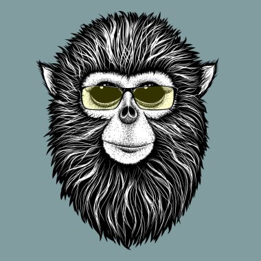 Sarı güneş gözlüğü ile hipster maymun