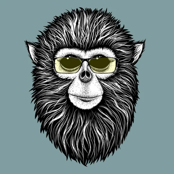 Singe hipster avec lunettes de soleil jaunes — Image vectorielle