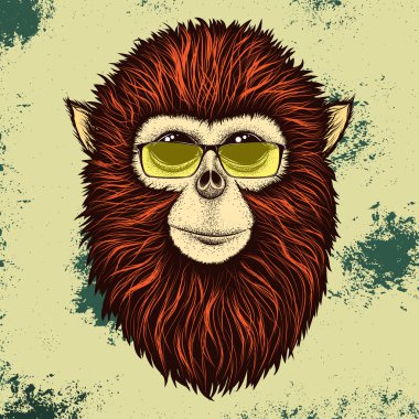 Sarı güneş gözlüğü ile hipster maymun