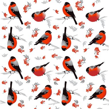 Kusursuz desen - ispinozlar ve Red Rowan 'ın fırçaları. Beyaz arka planda kırmızı göğüslü ve siyah kanatlı kuşların çizimi süresiz olarak tekrarlanabilir..