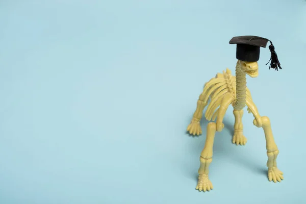 Yaratıcı. Mezuniyet şapkasında denosaurus