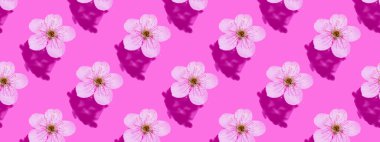 Pembe suda kiraz çiçeği. Kavram, duvar kağıdı, kumaş tasarımı. Kusursuz desen. Pankart