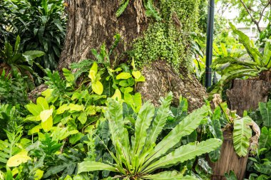 Bahçe parkın bir parçasıdır..