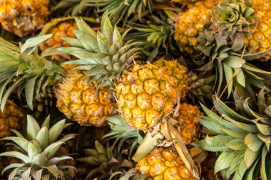 Ananas bir meyvedir, tatlıdır..