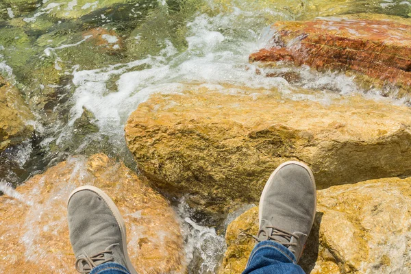 Deniz arka bacaklarına