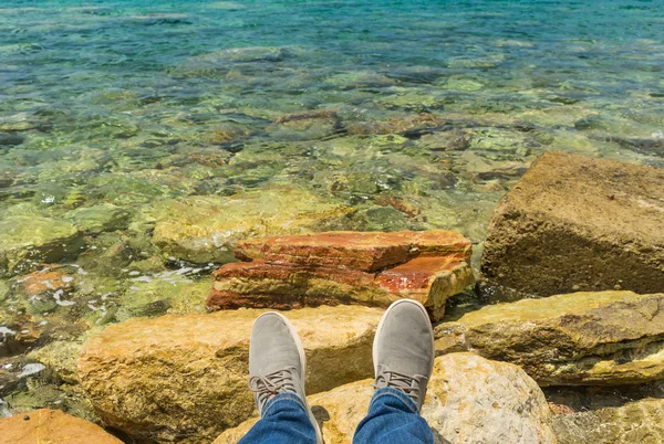 Deniz arka bacaklarına