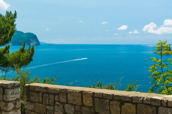 Deniz surları görüntüleyin. Deniz serisi.