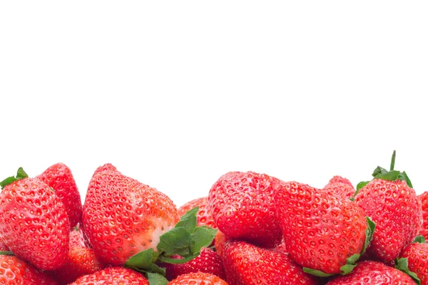 Fresas primer plano Imagen de stock