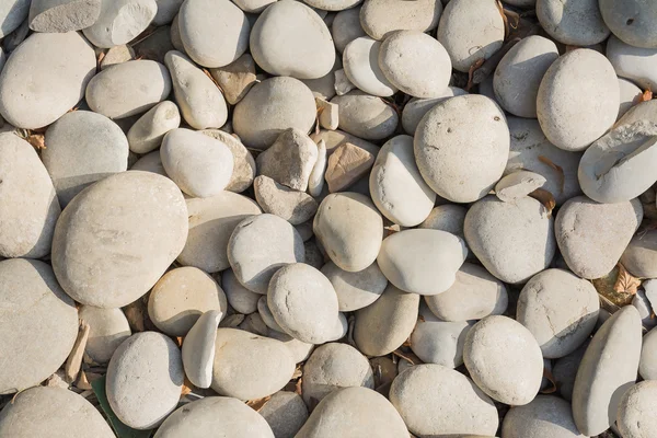 Gri çakıl arka plan