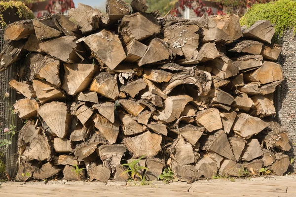 Yığınla kuru yakacak odunlarının arka planı