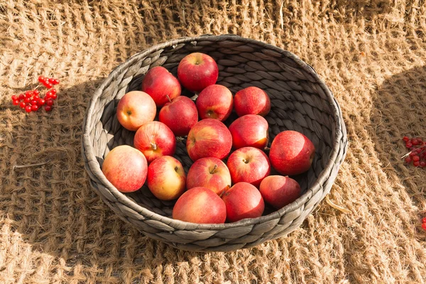 olgunlaşmış bir sepet elma