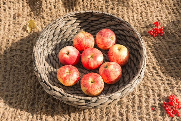 olgunlaşmış bir sepet elma