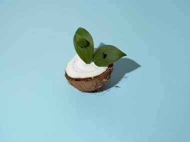 Yeşil yapraklı hindistan cevizinin yarısı. Mavi arka planda olgun hindistan cevizleri. Uzayı kopyala Pop sanat tasarımı, yaratıcı yaz konsepti. Organik yiyecekler.