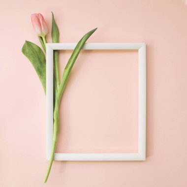 Pembe lale ve örtülü gül arkaplanı üzerinde boş resim çerçevesi. Kadınlar Günü için bayram kartpostalı ya da anneler günü ya da indirim konsepti. Kopyalama alanı olan çiçek bahar arkaplanı.