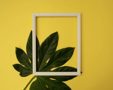 Beyaz çerçeveli yeşil yapraklı limon sarısı arka plan. Kadınlar Günü için bayram kartpostalı ya da anneler günü ya da indirim konsepti. Kopyalama alanı olan çiçek bahar arkaplanı.