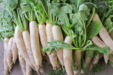 Daikon turp pazarında Satılık.